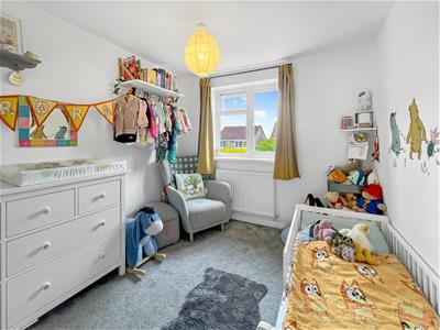 Picture 16